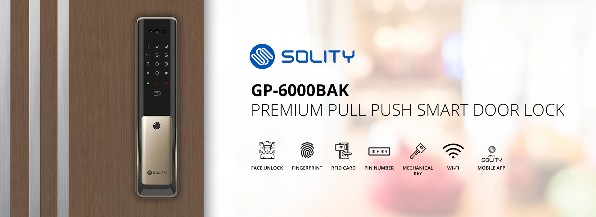 Solity GP 6000BAK premium pull push smart door lock